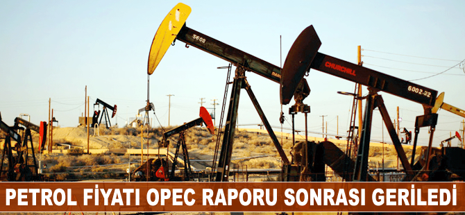 Petrol fiyatı, OPEC Raporu sonrası geriledi