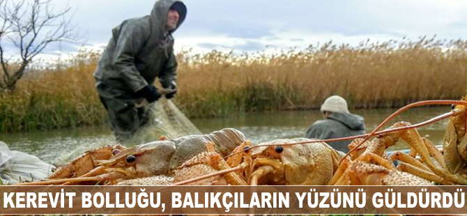 Kerevit bolluğu balıkçıların yüzünü güldürdü