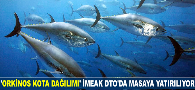 'Türkiye Orkinos Balığı Kota Dağılımı' toplantısı İMEAK DTO'da yapılacak