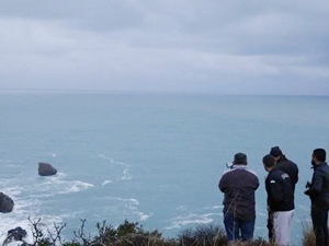 Amatör balıkçı falezlerden denize düşerek hayatını kaybetti