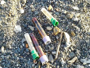 Zonguldak'ta dalgaların taşıdığı çöpler kıyıya vurdu