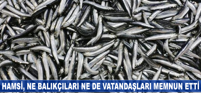 Hamsi, ne balıkçıları ne de vatandaşları memnun etti