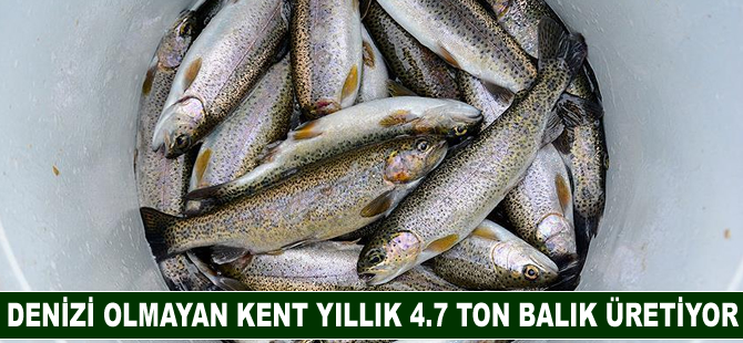 Denizi olmayan kent yıllık 4.7 ton balık üretiyor