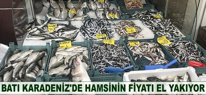 Batı Karadeniz'de hamsinin fiyatı el yakıyor