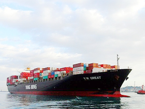 Diana Shipping, iki adet konteyner gemisini sattı