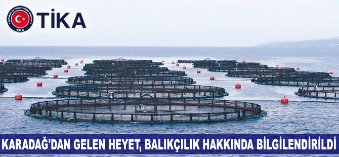 Karadağ'dan gelen heyet, balıkçılık hakkında bilgilendirildi