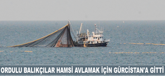 Ordulu balıkçılar hamsi avlamak için Gürcistan'a gitti
