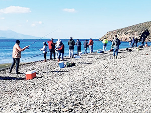Balık çiftliği patladı, 80 ton çipura kaçtı!