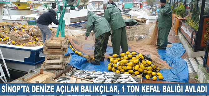 Sinop'ta denize açılan balıkçılar bir ton kefal balığı avladı