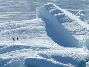 Kuzey Kutup Turizmi, çevreye ciddi tehdit oluşturuyor