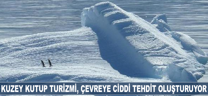 Kuzey Kutup Turizmi, çevreye ciddi tehdit oluşturuyor