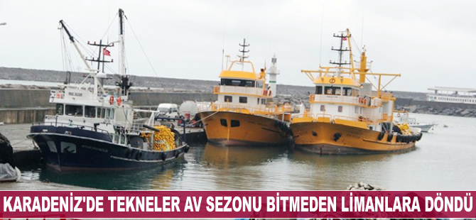 Karadeniz'de tekneler av sezonu bitmeden limanlara döndü
