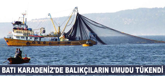 Batı Karadeniz'de balıkçıların umudu tükendi