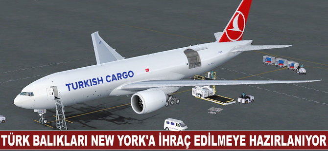 Türk balıkları New York’a ihraç edilmeye hazırlanıyor