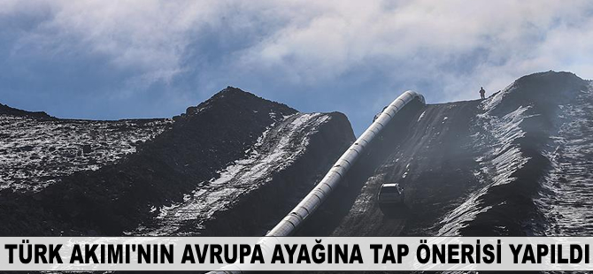 Türk Akımı'nın Avrupa ayağına TAP önerisi yapıldı
