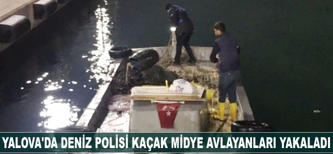 Yalova'da deniz polisi kaçak midye avlayanları yakaladı