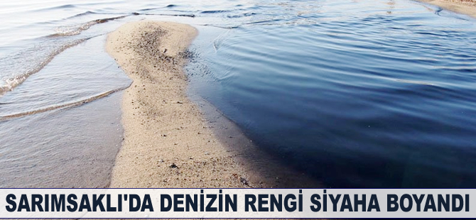 Sarımsaklı'da denizin rengi siyaha boyandı