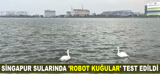 Singapur sularında 'robot kuğular' test edildi
