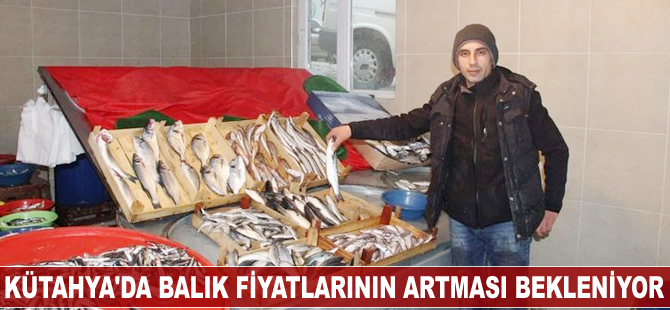 Kütahya’da balık fiyatlarının artması bekleniyor
