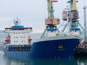 Kırım'a 1 ayda 19 gemi yasa dışı giriş yaptı