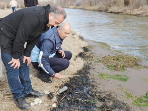 Oltu Çayı’ndaki balık ve kuş ölümleri araştırılıyor