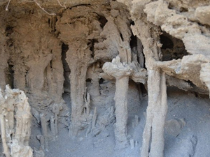 Adilcevaz’daki mikrobiyalitler turizme kazandırılacak