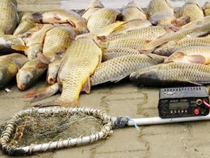 Elektroşokla balık avlayanlara 32 bin lira ceza kesildi