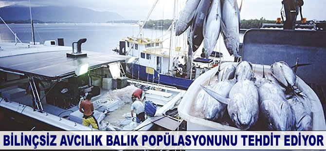 Bilinçsiz avcılık balık popülasyonunu tehdit ediyor
