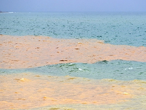 Balıkesir'de yağış nedeniyle deniz iki renge büründü