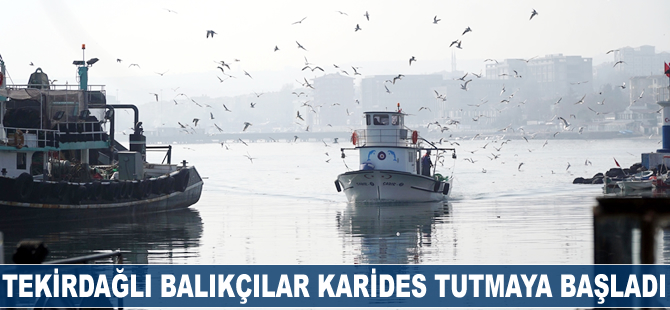 Tekirdağlı balıkçılar karides tutmaya başladı