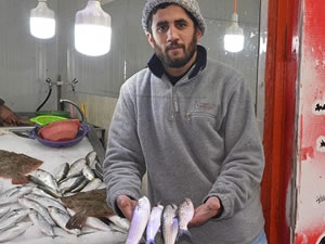 Sinop'ta tezgahlarda kefal bolluğu yaşanıyor