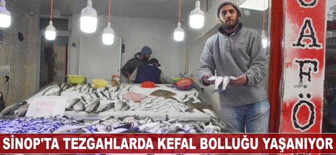 Sinop'ta tezgahlarda kefal bolluğu yaşanıyor