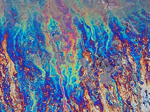 Mersin'deki deniz kirliliğine soruşturma açıldı