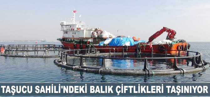 Taşucu Sahili'ndeki balık çiftlikleri taşınıyor