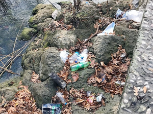 Sapanca Gölü kıyı şeridinde temizlik çalışması yapıldı