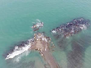 M/V YIGITHAN'ın son parçası denizden çıkarıldı