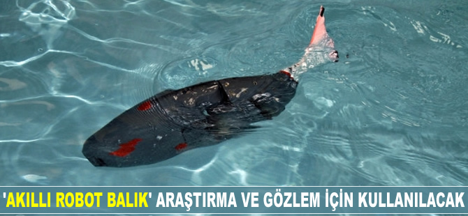 'Akıllı robot balık' araştırma ve gözlem için kullanılacak