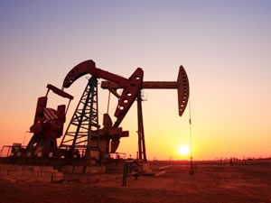 Hindistan, Abu Dabi’nin petrol ve gaz sahalarının yüzde 10’unu aldı