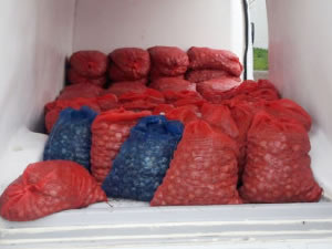 Edirne'de midye kaçakçılığı operasyonu yapıldı