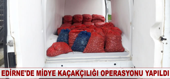 Edirne'de midye kaçakçılığı operasyonu yapıldı
