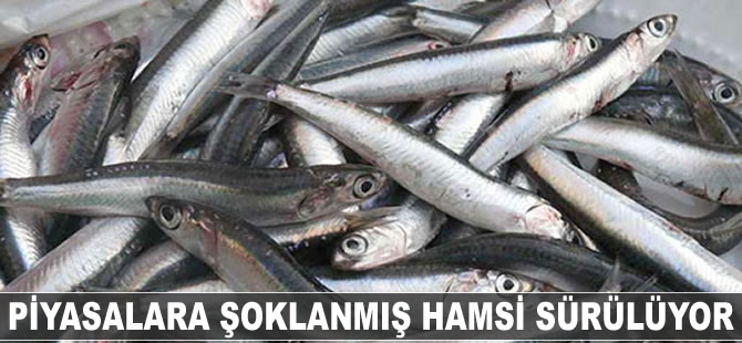 Piyasalara şoklanmış hamsi sürülüyor