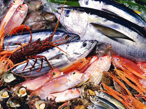 Rusya'da balık üretimi 2017 yılında yüzde 1.6 arttı