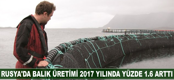 Rusya'da balık üretimi 2017 yılında yüzde 1.6 arttı