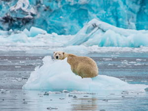 Küresel deniz seviyesindeki artış hızlanıyor