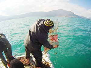 Eğirdir Gölü'nde kaçak avcılıkla mücadele ediliyor