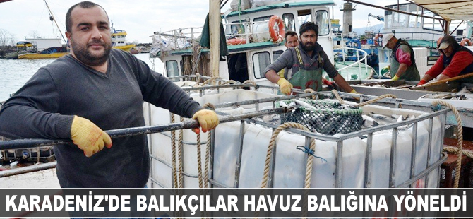 Karadeniz'de balıkçılar havuz balığına yöneldi