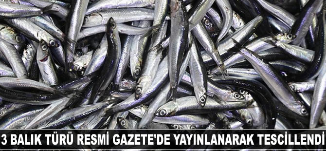 Üç balık türü Resmi Gazete'de yayınlanarak tescillendi