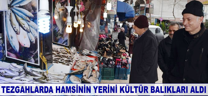 Tezgahlarda hamsinin yerini kültür balıkları aldı
