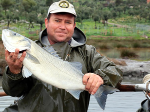Toprak havuzlarda çipura ve levrek üretiyorlar