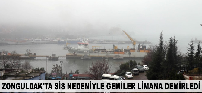 Zonguldak'ta sis nedeniyle gemiler limana demirledi